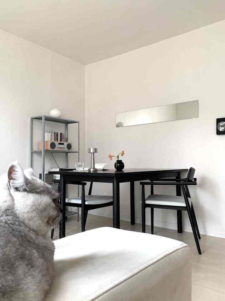 白と黒のトーンのダイニング、猫とキャビネットが配置されたシンプルモダンな雰囲気のあるインテリア