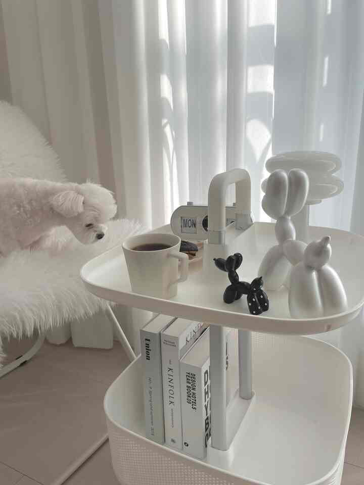 White toned small space featuring a white dog on a chair and a white storage trolley with coffee and decorative objects, modern atmosphere