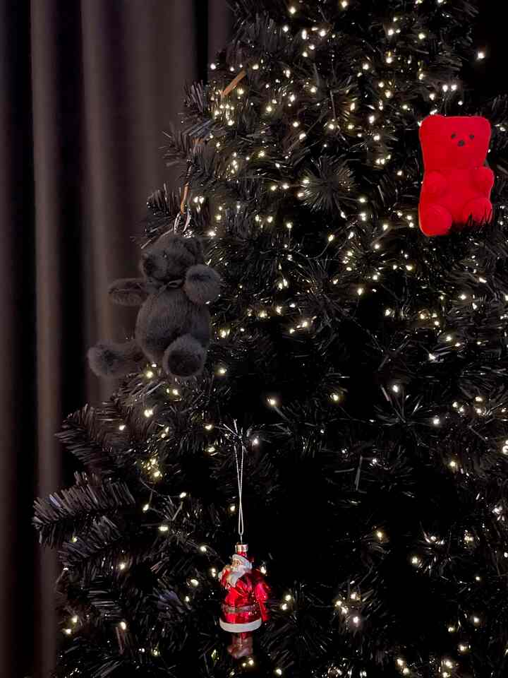 Black Christmas 

#christmas #tree #산타클로스 