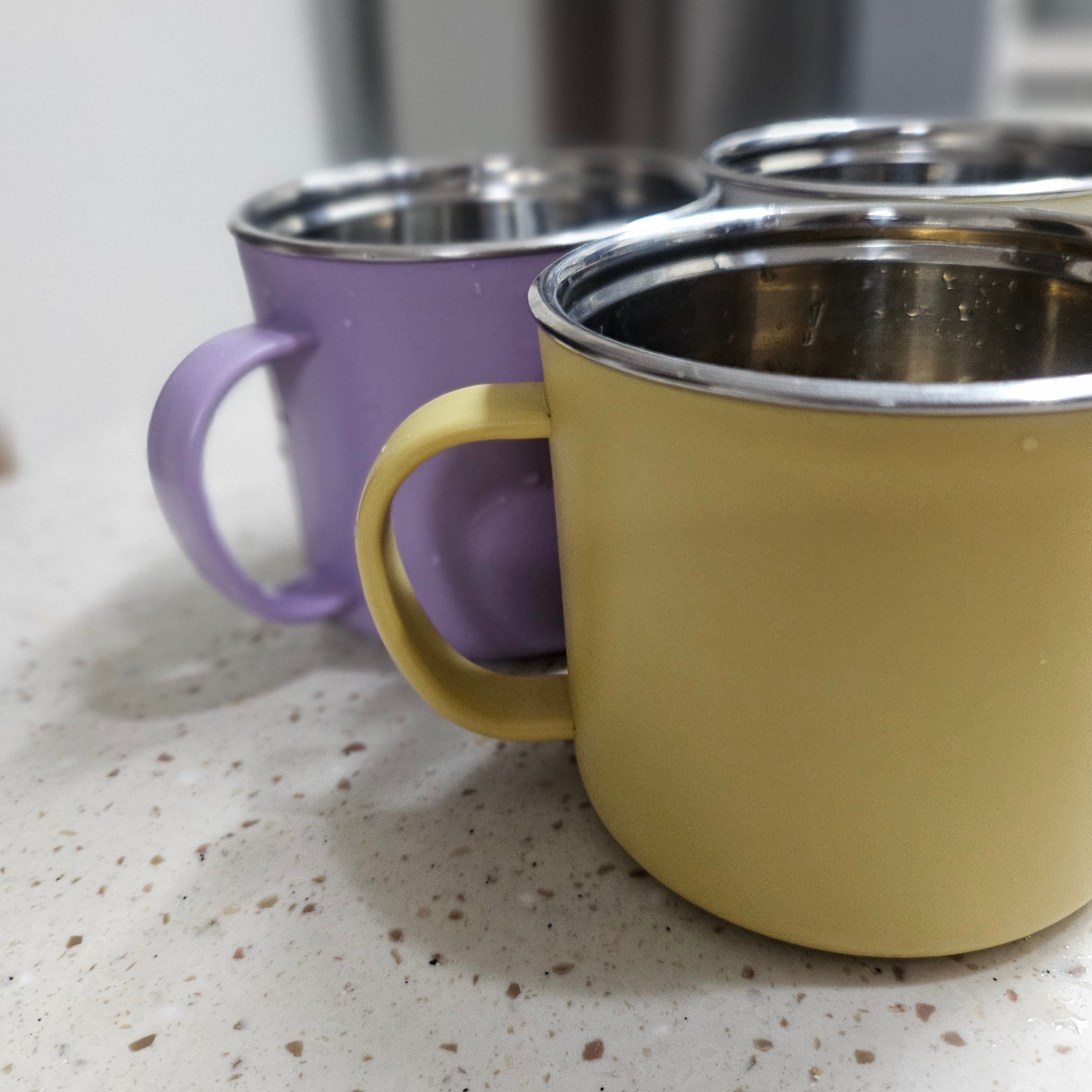 Pastel Insulated Stainless Steel Mug (Set of 4) user photo