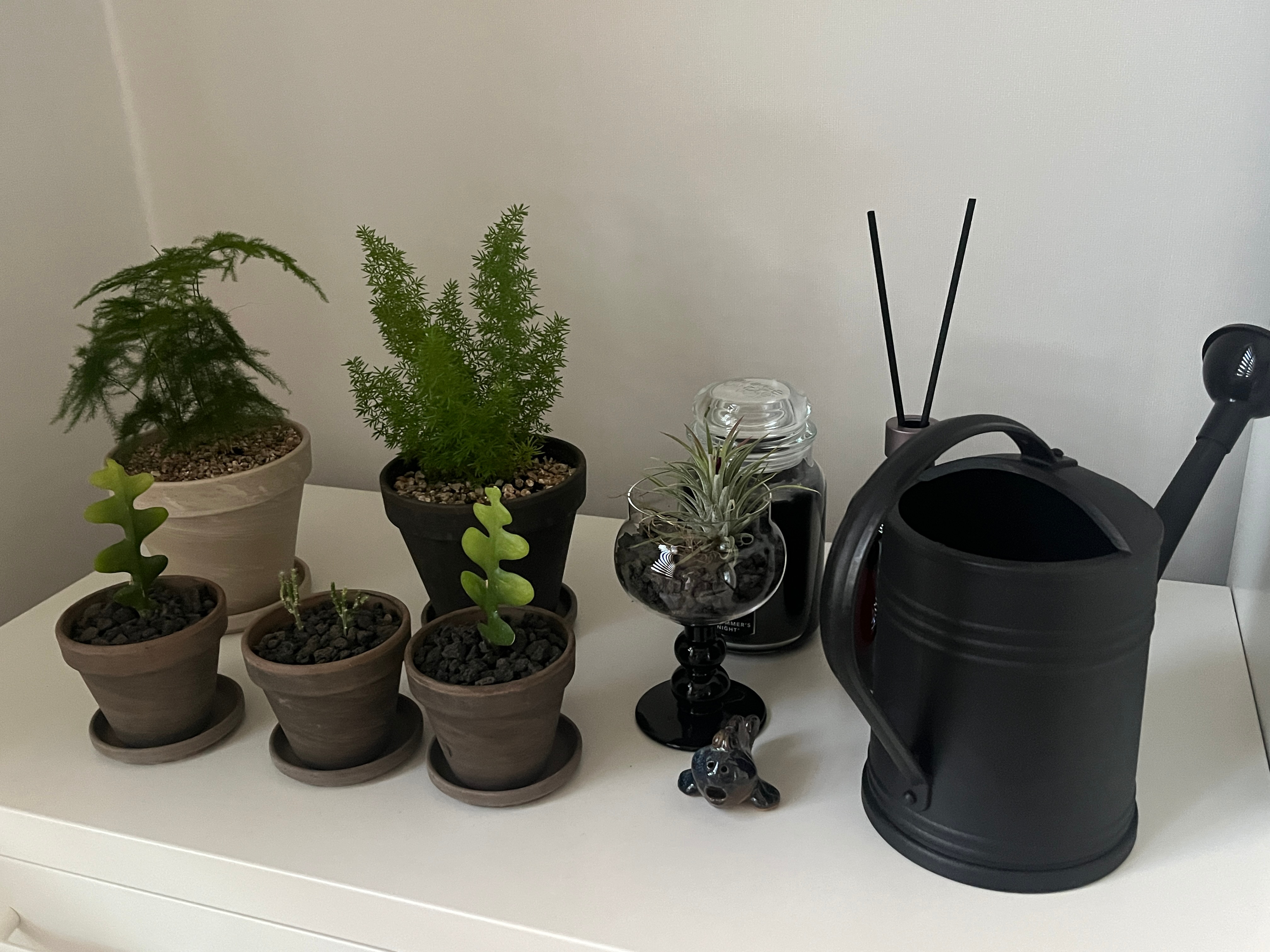 Rove Black Stem Wine Glass user photo
