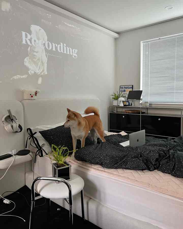 白と黒のトーンの寝室、中央にベッドと犬が配置され、モダンで清潔感のある雰囲気のインテリア