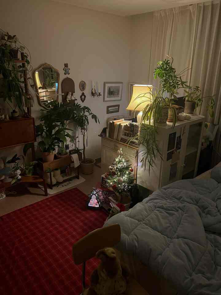 暖かな照明と緑の植物が調和したワンルーム寝室、クリスマスデコレーションが居心地の良い雰囲気を醸し出す空間