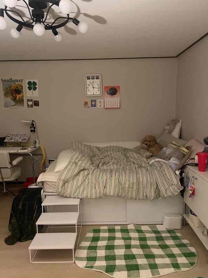 ナチュラルカラーの寝室、中央にベッドとペット用ステップが配置された居心地の良い空間