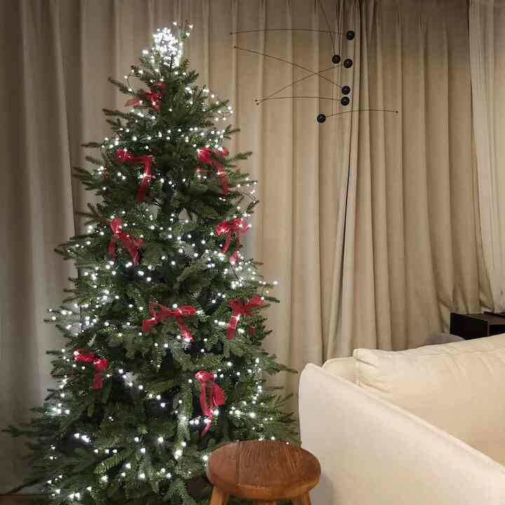 ＃クリスマスストリート 

ツリーが初めて来た時は、実はちょっと後悔した。
それでも家にはますます荷物が増えていますが、大きすぎる（180）
きれいに葉を広げて電球を巻いてくれるのがみんな話している通り普通の仕事ではないからだ

知らずに、一度買ったので、ロボットと葉をおろし、電球もおおむね巻いた。
他の人は足りなくてもっと住んでいますが、私は電球が1行残ったので言った。

しかし、数日数日間電球を入れて過ごしてみると、きれいです。

おおよそ伸びた葉とおおよそ巻いた電球で作られた木でも、十分に家がより居心地が良く、ふんわりとした。

木すらなかったら荒涼とした年末を考えると、
さらに、見るたびにトリムをして気分が良くなります。 
ああ、良い消費だったんだ。

まだ赤ちゃんは若いです。 
今年は赤ちゃんのオーナメントもすべて関心を持ってシンプルなツリーに行きたい
ダイソーから買った紐でリボンを作っていくつか載せてくれたのに
今でもあまりにも私のスタイルできれいなものです🎀

来年のクリスマスにはラッキーのような装飾をして、もう一つの豊かな木を作ってみましょう。

＃プレート＃キッチンインテリア＃テーブルスタイリング＃オンテーブル＃homedeco＃homeinterior＃ホームカフェ＃ブラックファースト＃朝食＃onthetable＃tablestyling＃tabledecor #オーハウス #オーハウスシーズン9 #リビングインテリア