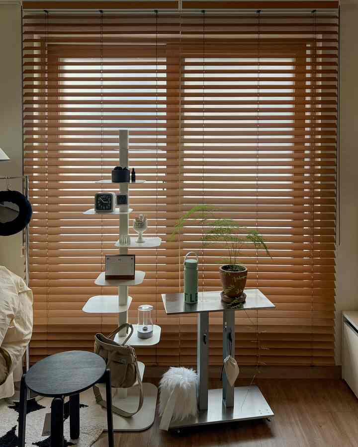 Natural tone living room with wood tone blinds covering windows, featuring storage shelves and a plant for cozy ambiance