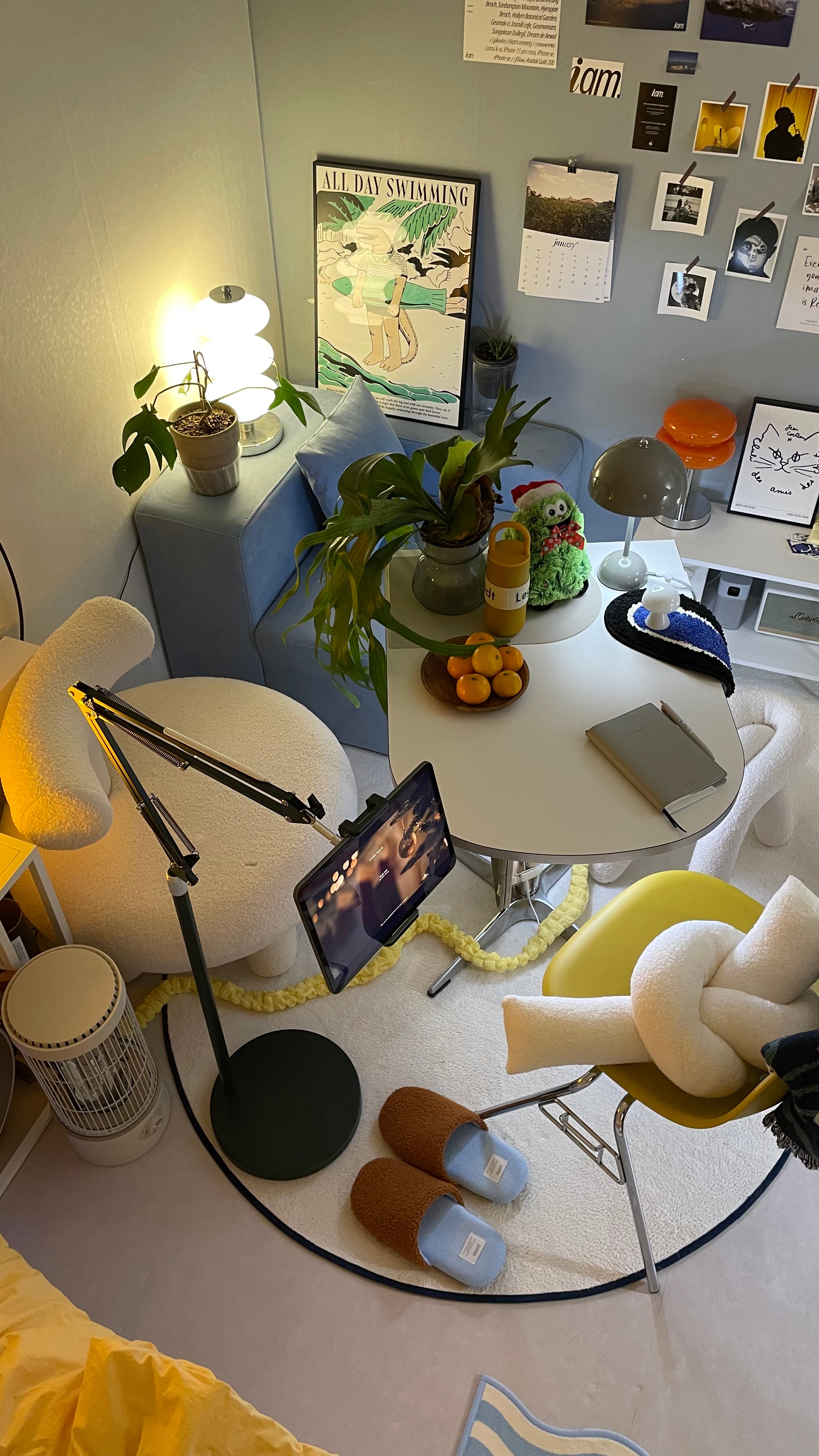 Washable Oval Area Rug user photo