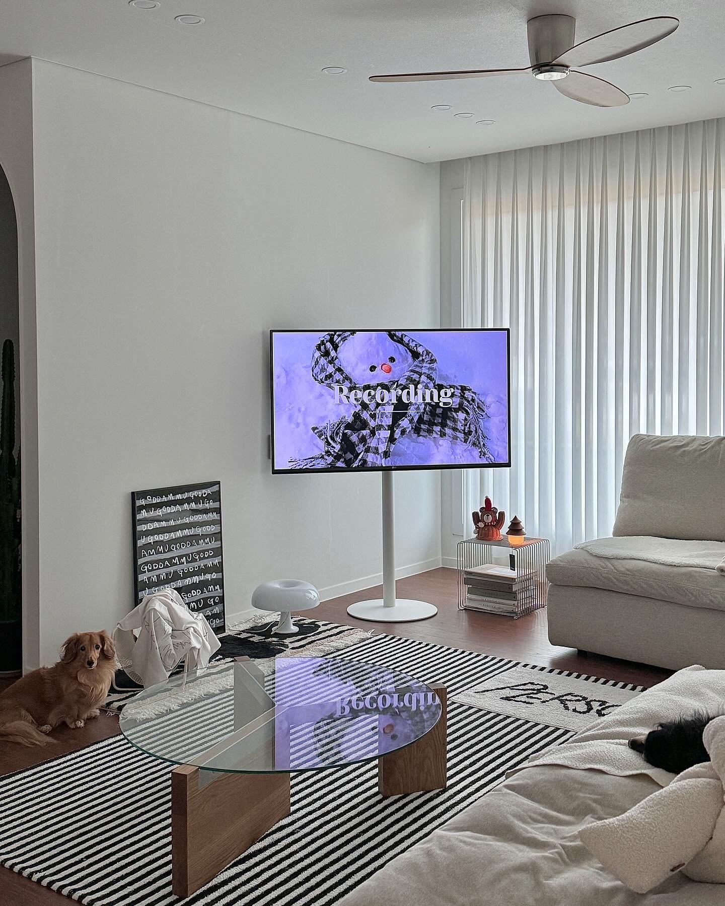 MONTANA Panton wire single パントン ワイヤー シェルフ［4色