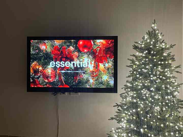 オーナメントなしで電球だけで飾られた木
キラキラとてもきれいで 
何度もぼんやりと覗くようになる🎄🥰

#クリスマス
#ツリー
#木150
#リビング
#ムカデ電球
#essential 
#ベベデコトリー 
