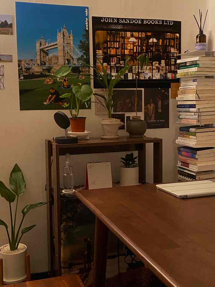 温かみのあるブラウンとグリーンの色調のリビング、書棚と棚に本と植物が配置された雰囲気のあるインテリア