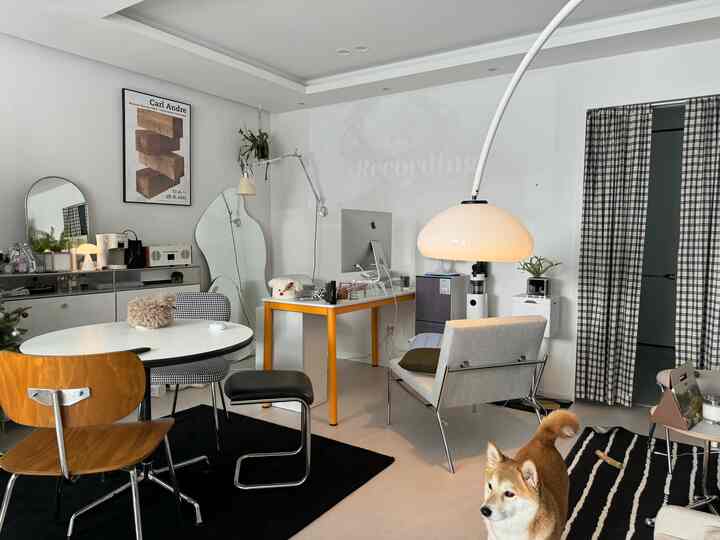 白とナチュラルトーンのリビング兼ホームオフィス、オレンジの脚のデスクと犬が配置された雰囲気のある空間
