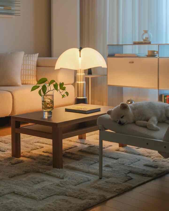 Beige and wood tone living room featuring a coffee table, sofa, and a dog resting comfortably