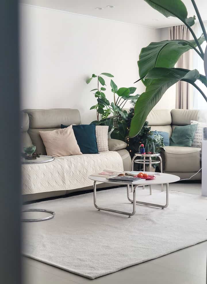 Suasana Natal yang sedikit terlambat🎄

Saya berpikir untuk lewat saja pada tahun 2023.
Saya mencabut pohonnya, tetapi tidak ada umbi kelabang.
Membuat mood sedikit terlambat❤️

Karena saat itu musim dingin, saya memesan alas sofa.
Ini lebih hangat dan lebih baik dari yang saya harapkan, jadi saya sangat puas.

#Pohon Natal #오하우스시즌9 #홈카페 #화이트인테리어 #거실인테리어 #겨울인테리어 #크리스마스인테리어 