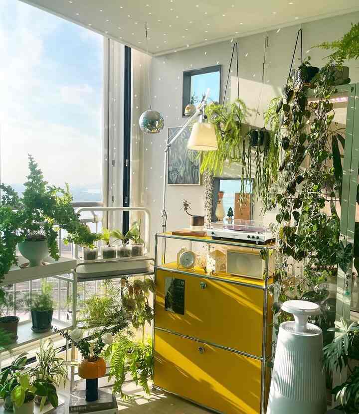 日差しが差し込むリビングタイプの室内庭園、多様な植物と黄色の収納が調和した温かみのある空間