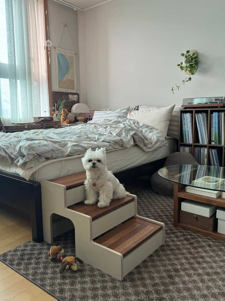 Natural wood tone and beige bedroom featuring wooden pet steps with a small dog sitting, and a patterned rug creating a cozy atmosphere
