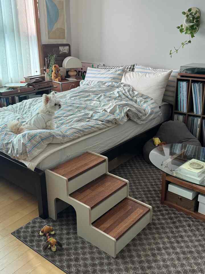 Natural modern beige-toned bedroom featuring a dog on the bed, wooden pet steps, and a patterned rug creating a cozy atmosphere