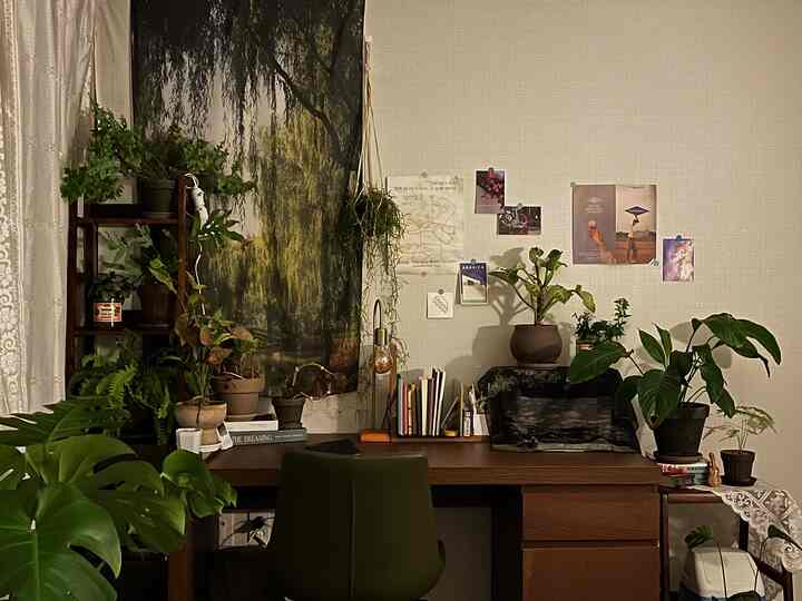 ベッドの向こうのデスクです 次の空間分離をしておきました
好きな植物に囲まれて落ち着いたウォルナットウッドトーンの机に座ると心が落ち着くようです  #책상꾸미기 #책상인테리어 #원목가구 #멀바우 #월넛 #식물인테리어 #플랜테리어  #클래식