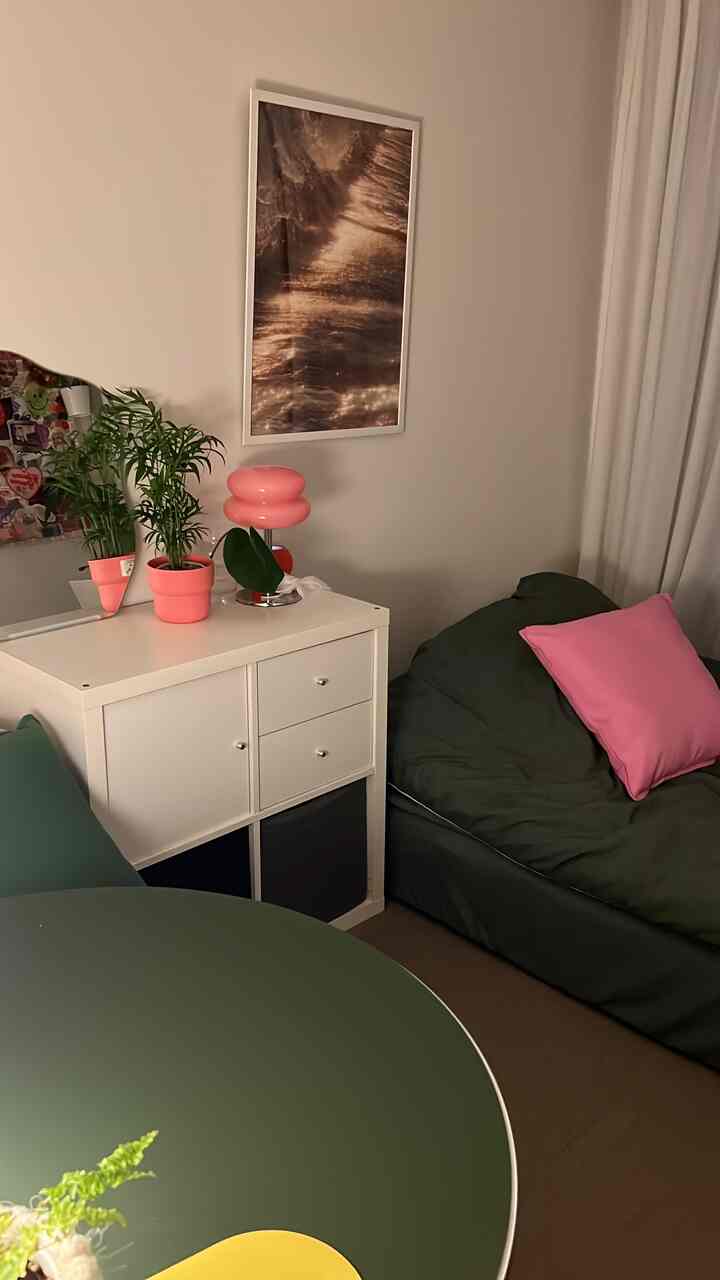 ピンクとグリーンの色調が調和したワンルームのダイニングと寝室、引き出し棚とタイルカーペットが配置された雰囲気のあるインテリア