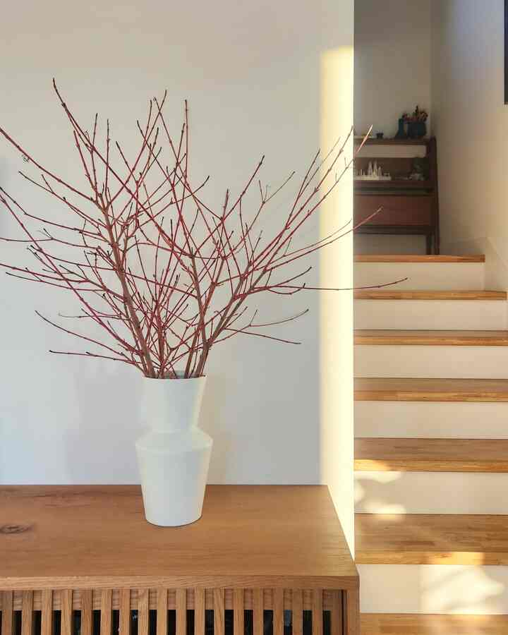 ギルチェナンザの代わりに言葉🥹 

枯れ木の枝が老朽化し、色が薄くなって電池をしてくれました。
電池をしてくれてしまうのが惜しい色を誇っていて家に連れて入ってきました。

 今年、黒い抹茶（ケッセリング機）も植えようと計画中ですが、黒い抹茶はまたどれくらいきれいかと思いますね😍

＃住宅肉＃ハウスデコ＃オーハウスシーズン9＃オーハウス＃住宅ライフ＃今日の私たちの家＃今日の家＃家の装飾＃住宅インテリア＃花瓶＃ハウスデコinmyhome＃今日の家＃家の装飾＃ホワイトインテリア＃住宅インテリア
