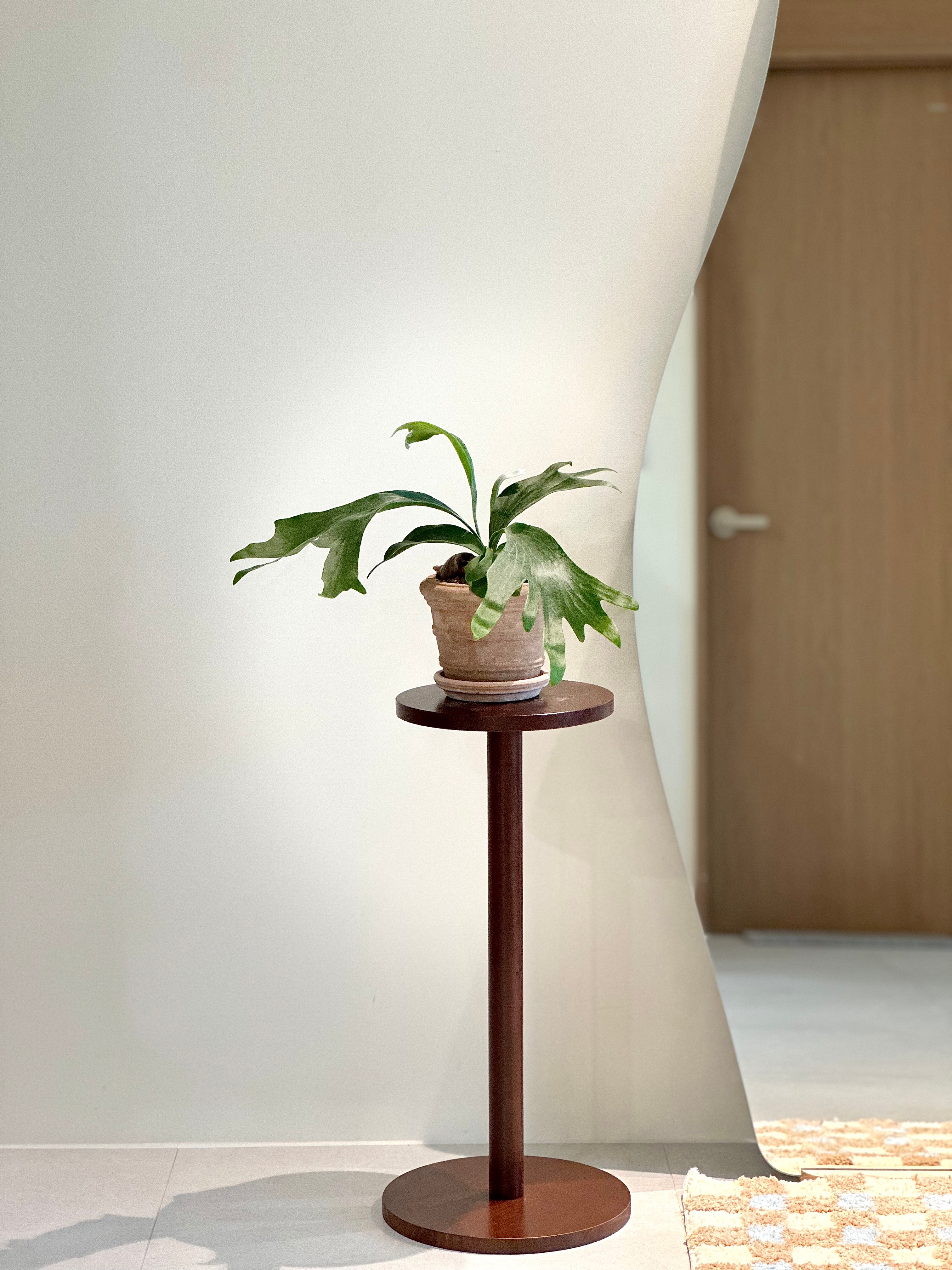 Candy Check Tufted Rug user photo