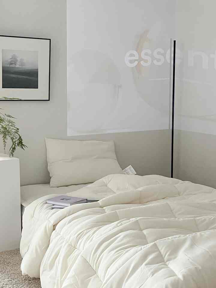 白とベージュの色調の寝室、大きなベッドと自然な植物が配置されたシンプルでナチュラルな雰囲気のあるインテリア