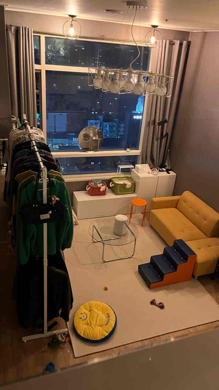 グレーのカーテンと黄色のソファが配置された、犬と暮らすためのペット用階段とペットベッドのあるリビングルーム