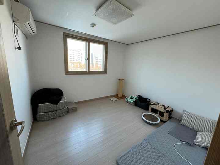 木目調の床と白い壁のワンルーム寝室、猫の爪とぎとマットレスが配置されたシンプルなインテリア