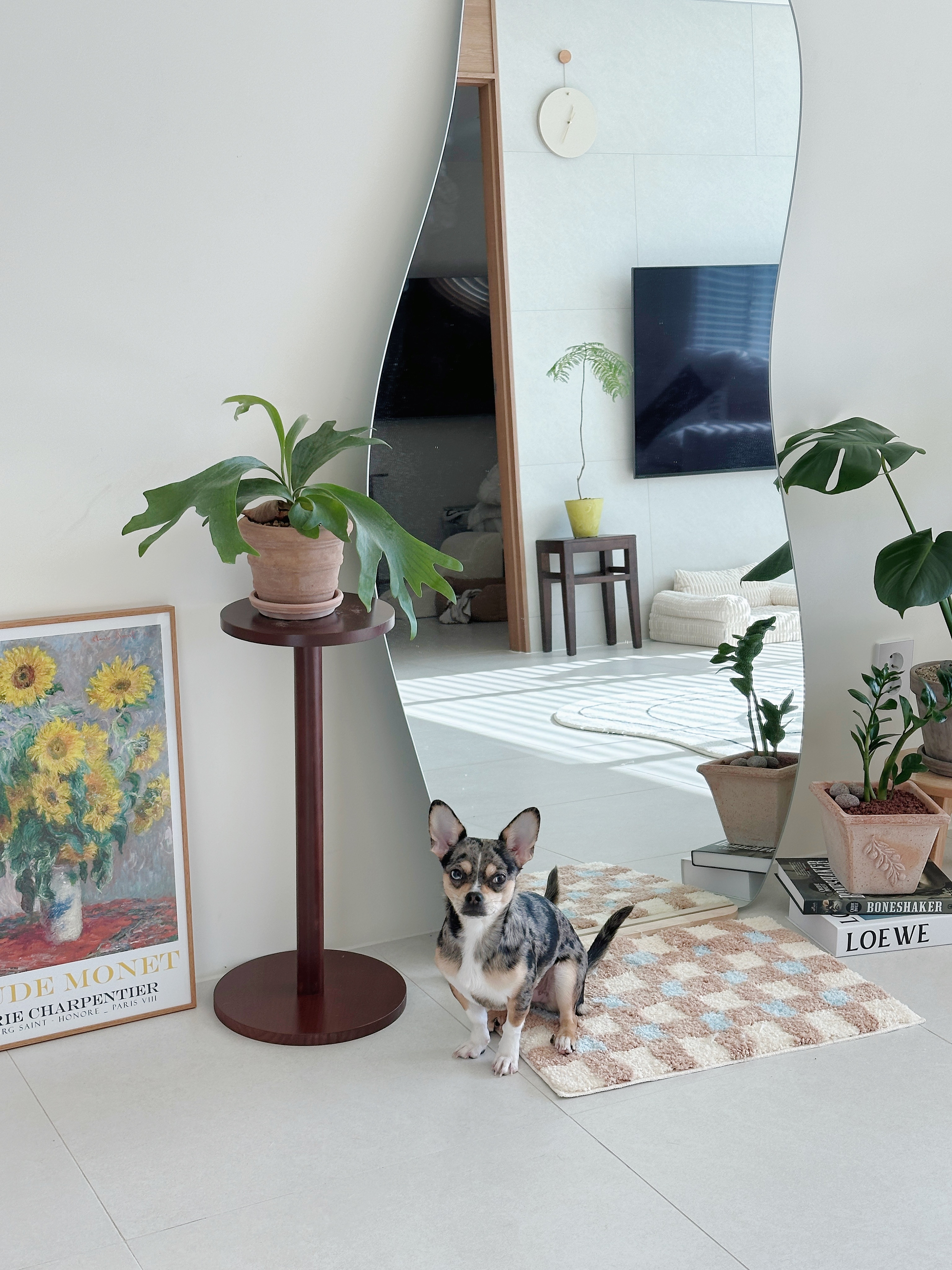 Candy Check Tufted Rug user photo