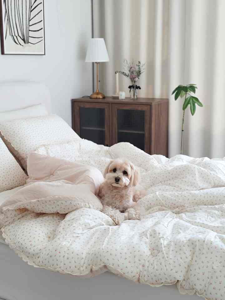 Cream-tone natural bedroom featuring patterned bedding with a dog, creating a cozy atmosphere