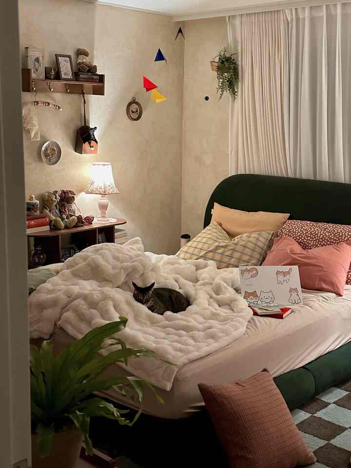 Ivory and dark green bedroom featuring a single bed with multiple cushions and a cat creating a cozy atmosphere