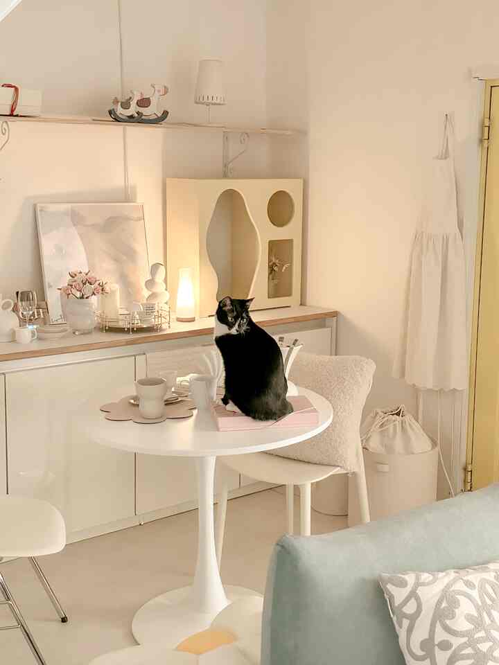 White and natural toned dining room featuring a central round table with a black cat sitting on top, creating a simple and cozy atmosphere
