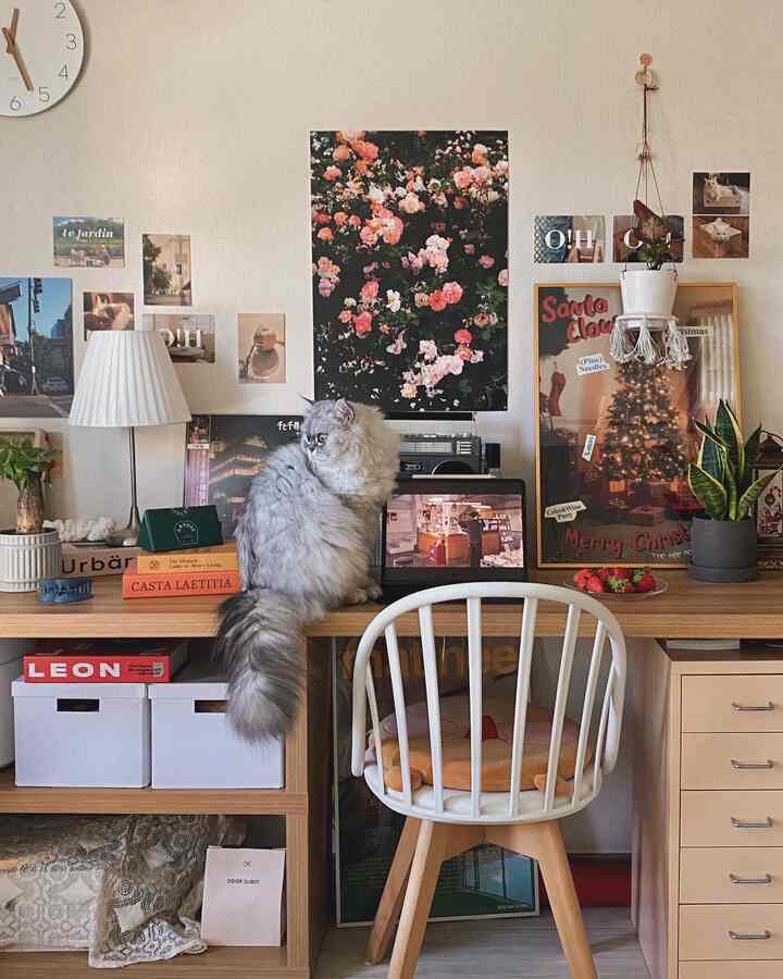 My and my cat's favorite space❤️

#Today's scene #고양이 #식물인테리어 #식집사 #데스크테리어 #데스크 #데스크테리어족 #빈티지인테리어 #크리스마스소품 #크리스마스 #조명 #책상 #책상꾸미기 #벽포스터 #포스터액자 #오늘의기록