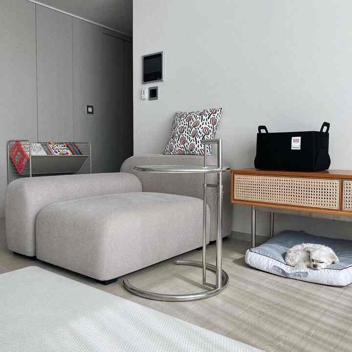 ホワイトとベージュのトーンのリビング、中期世紀モダンのソファとサイドテーブル、ペット用ベッドが配置された温かみのある空間