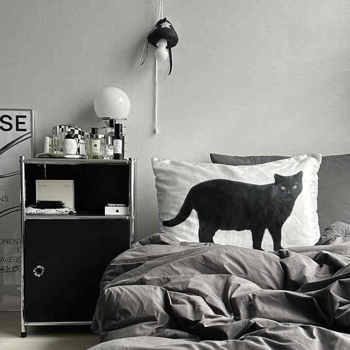 Gray-toned bedroom featuring a bed with black cat cushion and a black nightstand, reflecting a modern and monochrome style