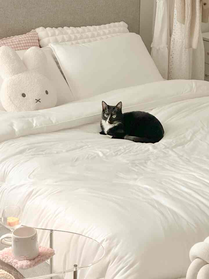 White-toned bedroom featuring clean bedding and cushions with a black cat sitting comfortably on the bed