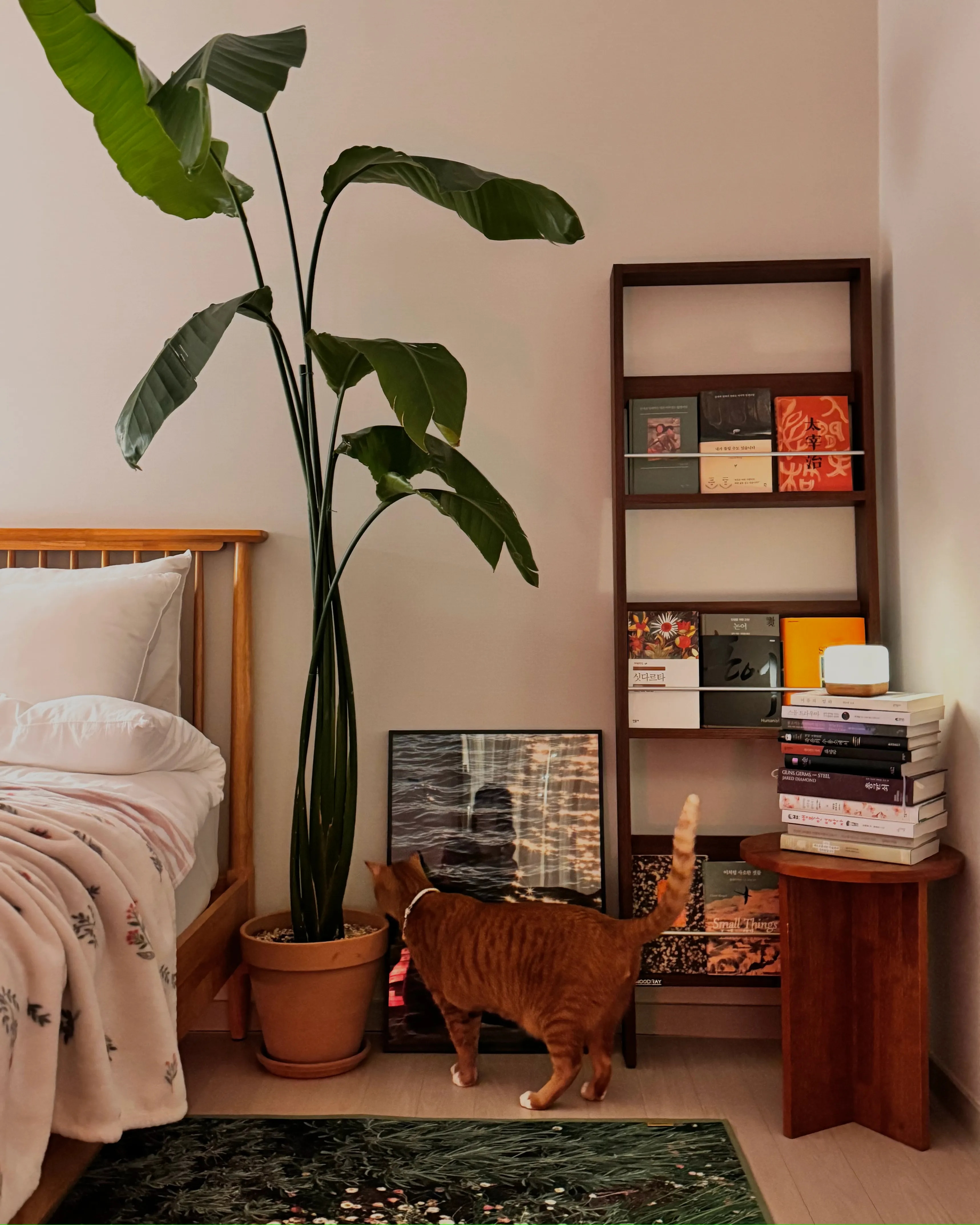 Bold Interior Magazine Rack user photo