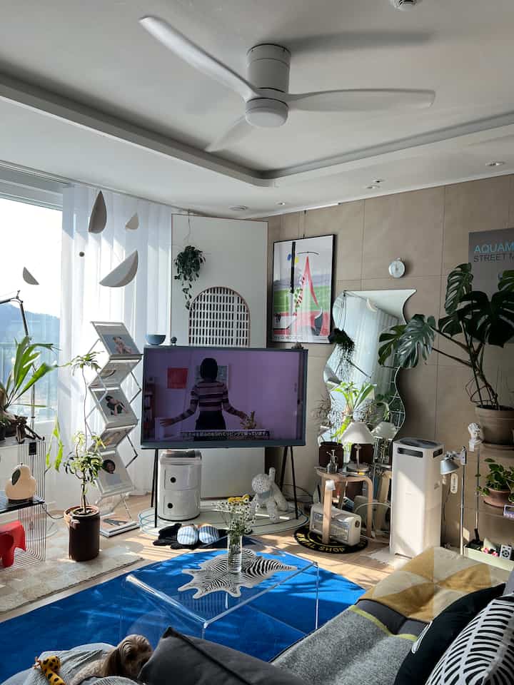 Bright white and blue toned living room featuring a blue rug, sofa, TV stand, and numerous plants creating a cozy atmosphere