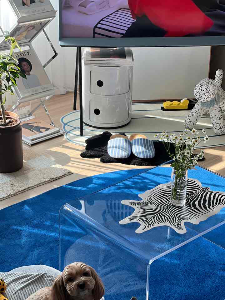 Bright white and vivid blue toned living room featuring transparent acrylic coffee table with a pet dog, creating a cozy atmosphere