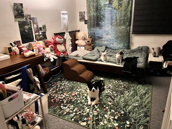 short form carousel card thumbnail