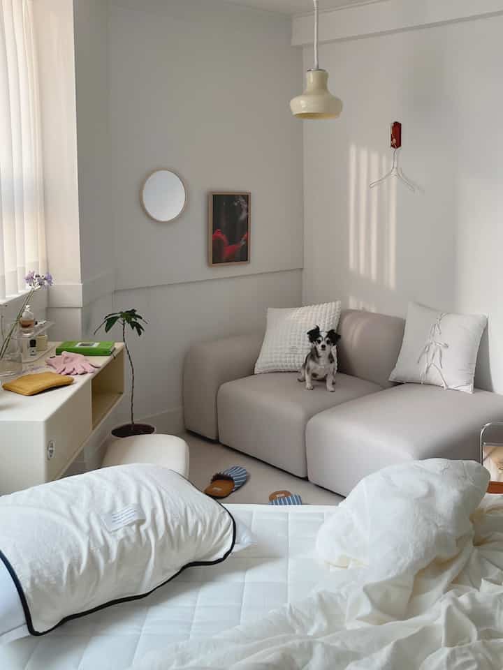 A cozy small living room with white and beige tones featuring a sofa with a dog sitting on it, combined bedroom elements visible