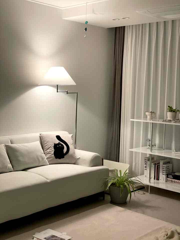 Modern living room in white and gray tones featuring a sofa with cat cushion and potted plant in a simple setting