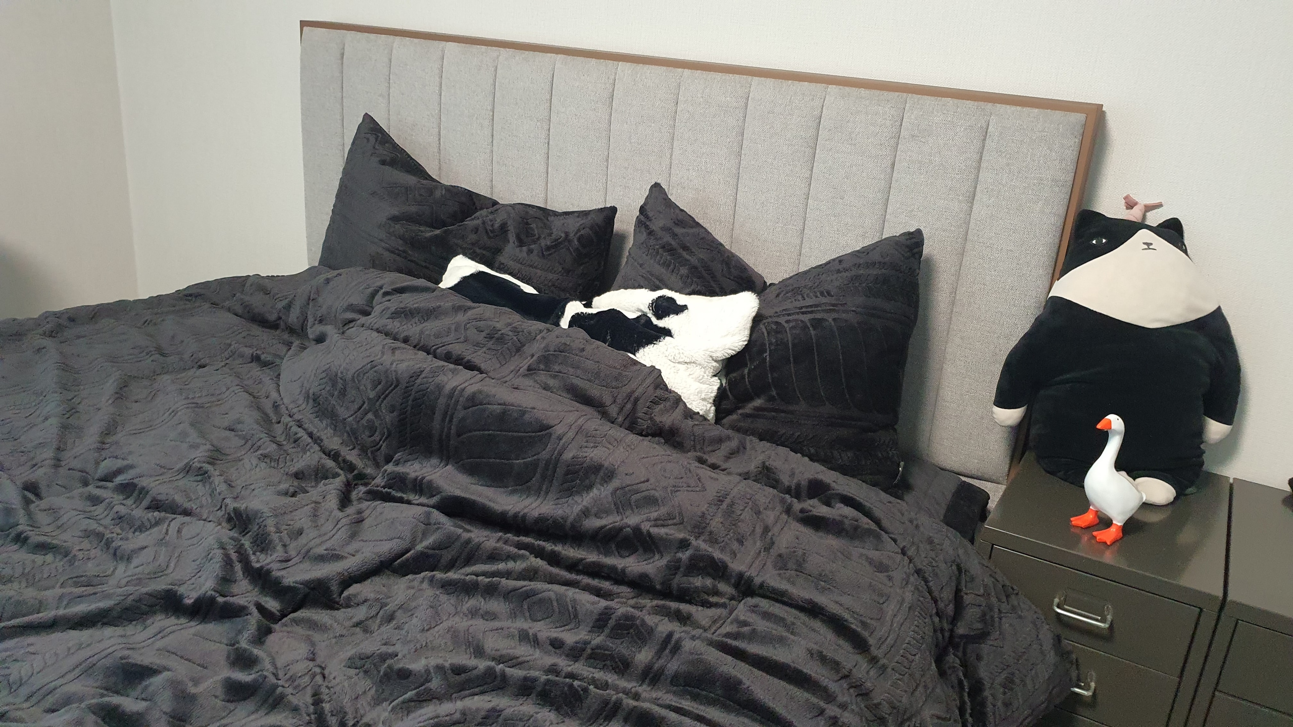 Cow Pattern Premium Raschel Pillow Cover user photo