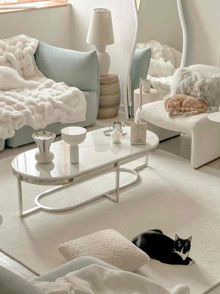 Beige and blue toned living room with cozy sofas and rug, featuring two cats resting comfortably, creating a warm and inviting atmosphere