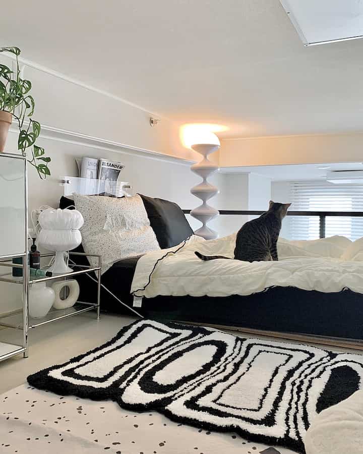 Monotone black and white bedroom featuring a black bed with white bedding and a cat sitting atop, showcasing a modern style