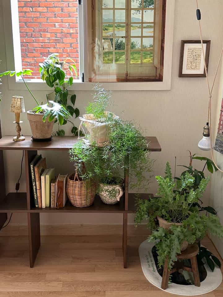 ナチュラルな木目調の床とダークブラウンの木製シェルフに様々な植物が配置された居心地の良いワンルーム寝室