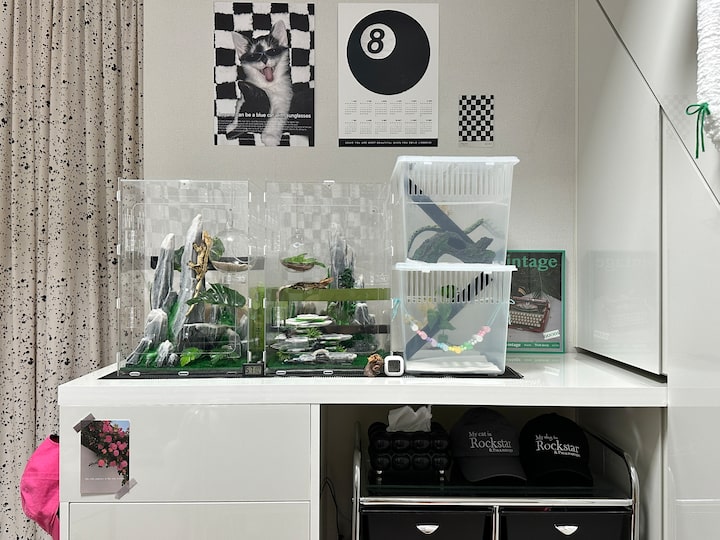 short form carousel card thumbnail