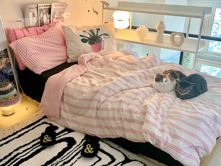 明るいホワイトとピンクのトーンのワンルーム寝室、二匹の猫がいる居心地の良いベッドと棚が配置された雰囲気のある空間
