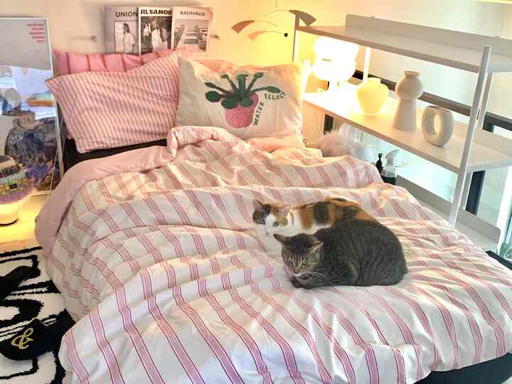 ピンクとホワイトの色調の寝室、ストライプの寝具と2匹の猫がくつろいでいる雰囲気のあるインテリア