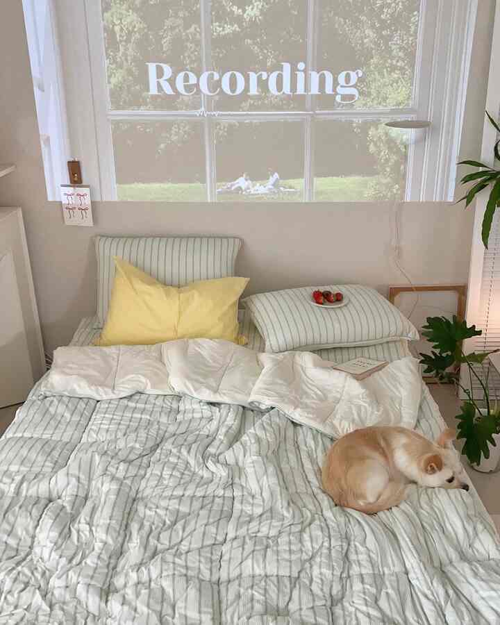 白と淡い緑のストライプの寝室、黄色い枕とペットの犬がいる落ち着いた雰囲気のインテリア