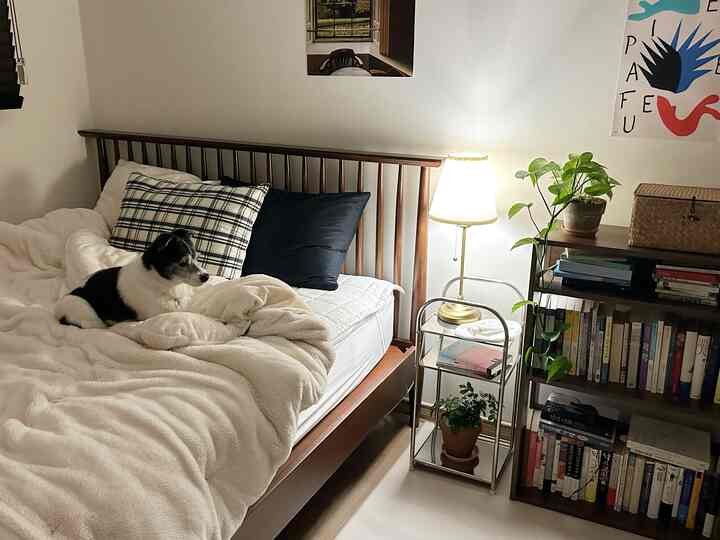 白と茶色のトーンの寝室、ベッドの上に犬がいて、ナイトテーブルと本棚が配置された雰囲気のある空間